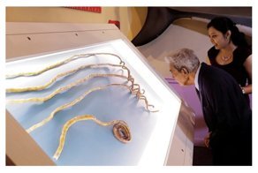 Индиец распрощался с длиннейшими ногтями с помощью электроинструмента: видео