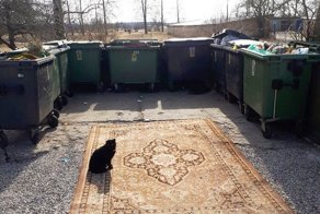 Неожиданные находки, которые можно встретить только на российских помойках