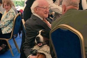 Ирландский президент - лучший в мире? 18 причин, почему так считают все ирландцы