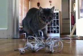 Прикольные гифки