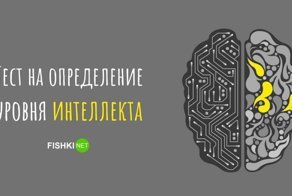 Тест на определение уровня интеллекта