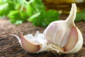 10 природных антибиотиков, которые лучше любых лекарств