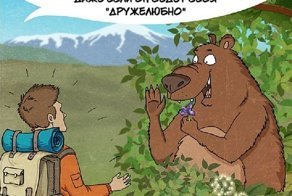 Как следует вести себя при встрече с медведем