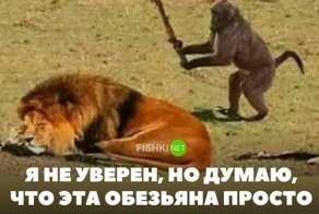 Картинки с надписями для настроения