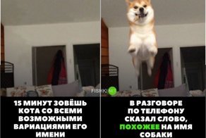 Картинки с надписями для настроения