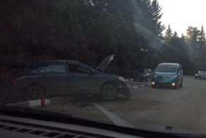 Авария дня. В Омске на территории университета пострадало дерево