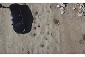 В Самаре отремонтируют засаженную картошкой дорогу