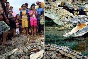 В Индонезии разгневанная толпа убила 300 крокодилов
