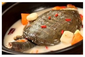 10 развлечений для туристов, за которые бывает стыдно