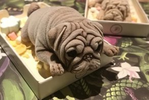 Как его можно съесть?! Удивительно реалистичное тайваньское мороженое в форме собачек