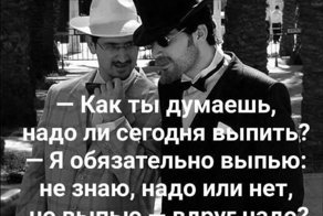 Веселые фотки с надписями