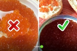 7 подделок, которые мы покупаем каждый день