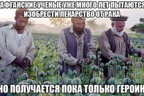 Веселые фотки с надписями