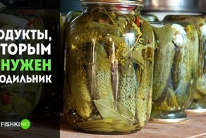 15 продуктов, которые на самом деле не стоит хранить в холодильнике