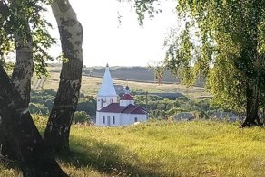 По следам чистомена