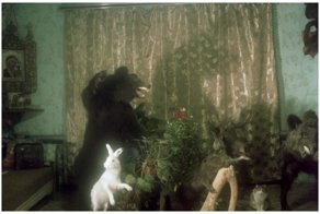 Сумасшедшие интерьеры квартир под сдачу и на продажу