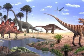 Так что-же жрали динозавры? Шишки юрскаого периода