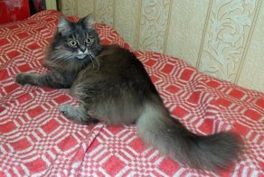 Лялечка