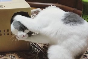 Когда камера удачно подловила тот самый момент
