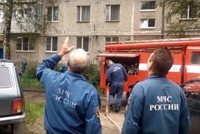 Пожарные пытались сбить с дерева кота с помощью брандспойта