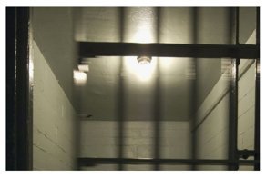 Претендент на премию Дарвина: маньяк в тюрьме случайно погиб во время мастурбации