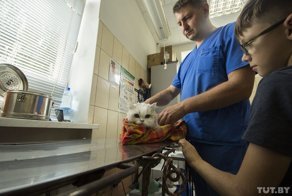 "Оперировал и плакал". Ветеринар вылечил и забрал себе слепого пса, которого принесли усыплять