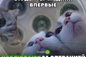 Лучшие мемы о врачах и медицине