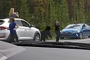 В Канаде медведь не захотел фотографироваться и припугнул туристку