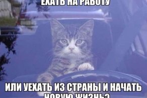 Веселые фотки с надписями