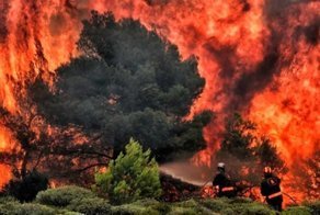 Пожары в Греции: ад на Земле