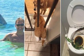 20 нелепых ситуаций, показывающих, что хуже может быть всегда