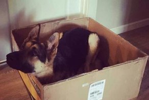 Позитивные фото