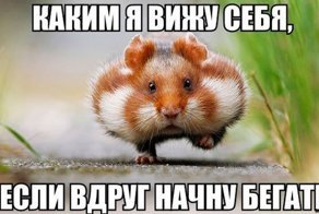 Смешные и не очень картинки