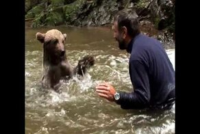 Дружба людей с животными. Подборка моментов