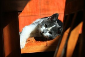 Ненавижу себя за то, что в 27 лет так ничего и не добилась