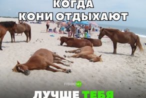 Картинки с надписями для настроения