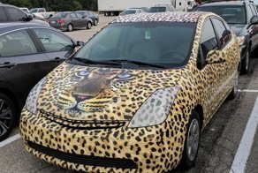 Автовсячина. АэроГрафия