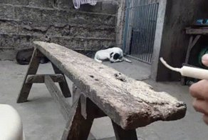 Прикольные гифки