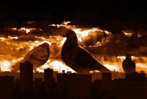 Городские зарисовки, которые вы ещё не видели