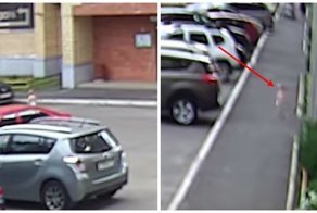 Годовалый малыш сбежал из садика в одном памперсе