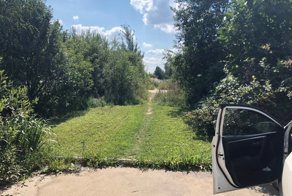 Свинство - как стандарт поведения людей