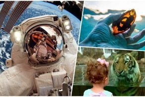 25 прекрасных фотографий, которые говорят больше, чем тысячи слов