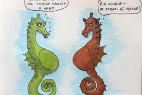 Где то в мире морских коньков