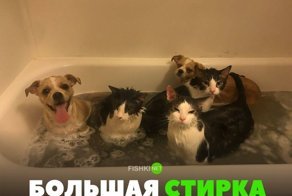 Картинки с надписями для настроения