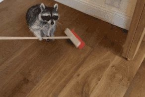 Прикольные гифки