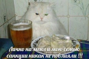 Веселые фотки с надписями