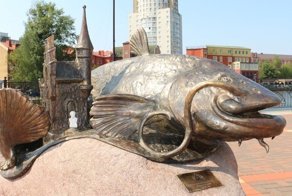 В Калининграде появился памятник гигантскому сому