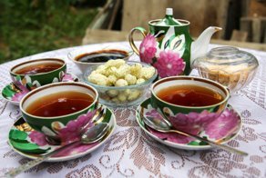 Тутовник —  лекарство от болезней