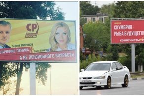 Ульяновские выборы начались с увеличения пениса и скумбрии