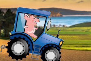 Поросёнок Пётр, который сваливает... в Хабаровск